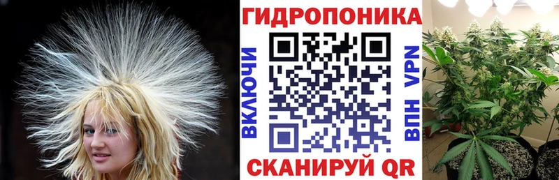 Купить наркотики сайты Свирск Кокаин  Псилоцибиновые грибы  МАРИХУАНА 