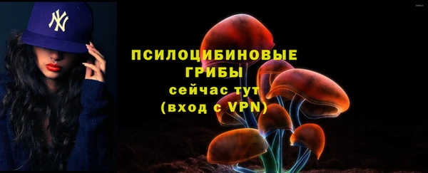 мдпв Балабаново