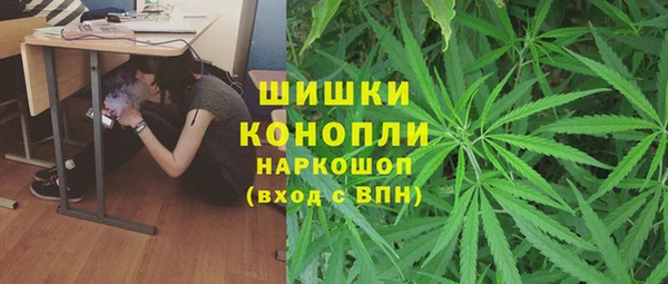 бошки Арсеньев
